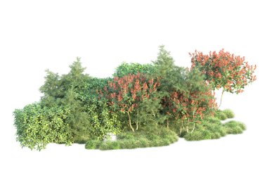 Fotokopi alanı için beyaz zemin üzerinde izole edilmiş gerçekçi ağaçlar.