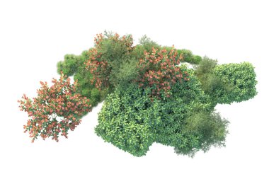 Fotokopi alanı için beyaz zemin üzerinde izole edilmiş gerçekçi ağaçlar.