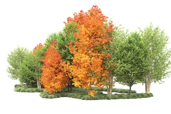 Orman ıssız. Görüntü pankartlar, posterler ya da fotoğraf manipülasyonları için kullanışlı. 3d görüntüleme - illüstrasyon