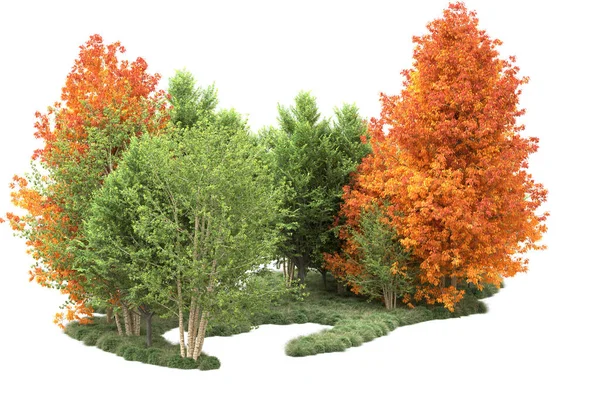 Orman ıssız. Görüntü pankartlar, posterler ya da fotoğraf manipülasyonları için kullanışlı. 3d görüntüleme - illüstrasyon