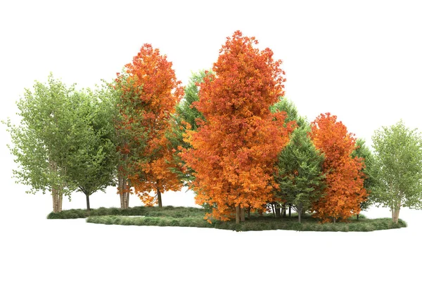 Orman ıssız. Görüntü pankartlar, posterler ya da fotoğraf manipülasyonları için kullanışlı. 3d görüntüleme - illüstrasyon