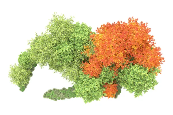 Orman ıssız. Görüntü pankartlar, posterler ya da fotoğraf manipülasyonları için kullanışlı. 3d görüntüleme - illüstrasyon