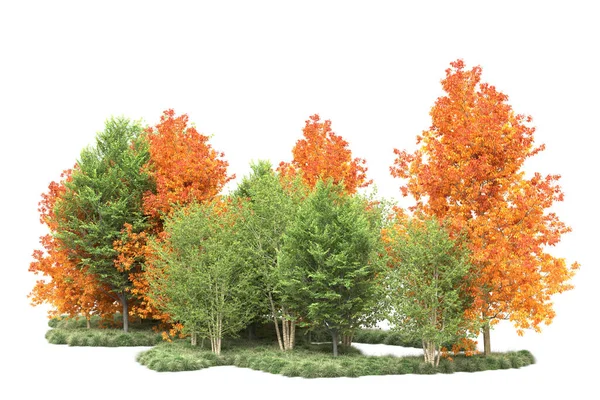 Orman ıssız. Görüntü pankartlar, posterler ya da fotoğraf manipülasyonları için kullanışlı. 3d görüntüleme - illüstrasyon