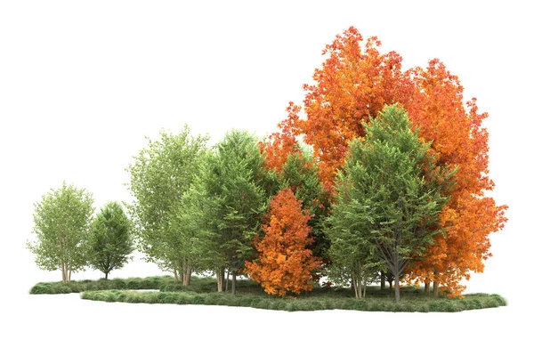 Orman ıssız. Görüntü pankartlar, posterler ya da fotoğraf manipülasyonları için kullanışlı. 3d görüntüleme - illüstrasyon