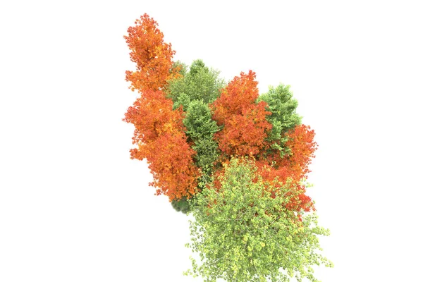 Orman ıssız. Görüntü pankartlar, posterler ya da fotoğraf manipülasyonları için kullanışlı. 3d görüntüleme - illüstrasyon