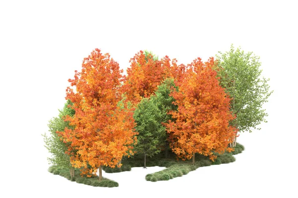 Orman ıssız. Görüntü pankartlar, posterler ya da fotoğraf manipülasyonları için kullanışlı. 3d görüntüleme - illüstrasyon