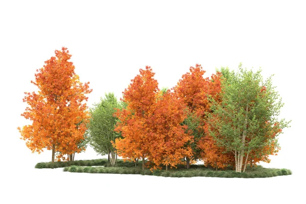 Orman ıssız. Görüntü pankartlar, posterler ya da fotoğraf manipülasyonları için kullanışlı. 3d görüntüleme - illüstrasyon