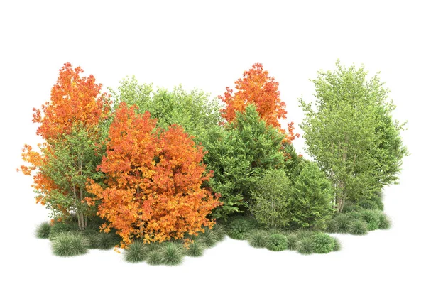 Orman ıssız. Görüntü pankartlar, posterler ya da fotoğraf manipülasyonları için kullanışlı. 3d görüntüleme - illüstrasyon