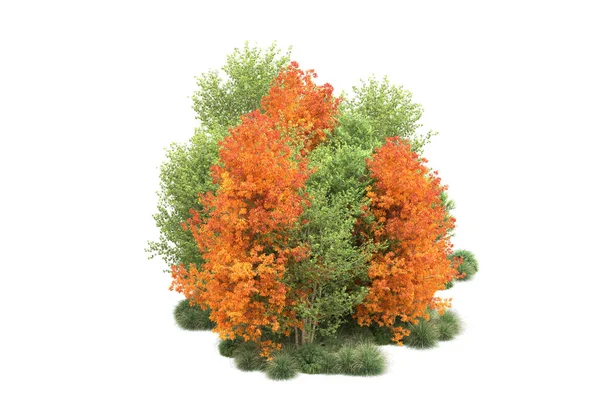 Orman ıssız. Görüntü pankartlar, posterler ya da fotoğraf manipülasyonları için kullanışlı. 3d görüntüleme - illüstrasyon