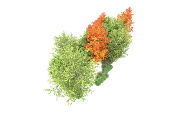 Orman ıssız. Görüntü pankartlar, posterler ya da fotoğraf manipülasyonları için kullanışlı. 3d görüntüleme - illüstrasyon