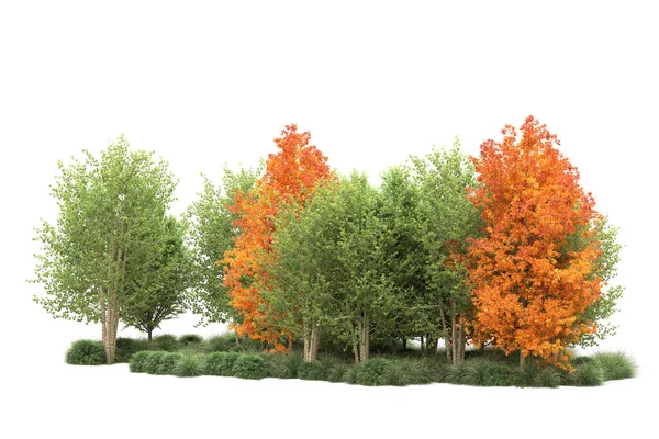 Orman ıssız. Görüntü pankartlar, posterler ya da fotoğraf manipülasyonları için kullanışlı. 3d görüntüleme - illüstrasyon