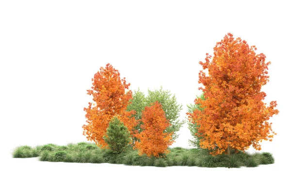 Orman ıssız. Görüntü pankartlar, posterler ya da fotoğraf manipülasyonları için kullanışlı. 3d görüntüleme - illüstrasyon