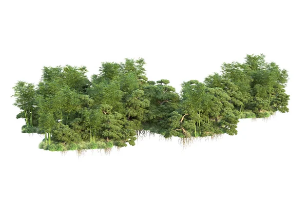 Orman ıssız. Görüntü pankartlar, posterler ya da fotoğraf manipülasyonları için kullanışlı. 3d görüntüleme - illüstrasyon