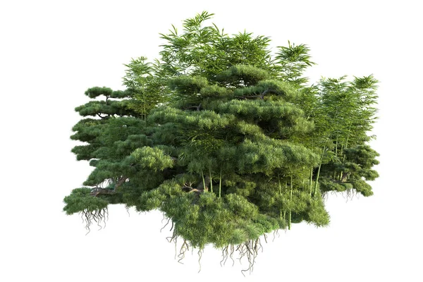 Orman ıssız. Görüntü pankartlar, posterler ya da fotoğraf manipülasyonları için kullanışlı. 3d görüntüleme - illüstrasyon