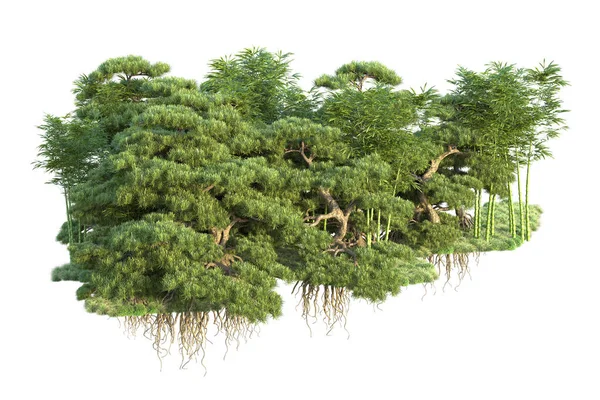 Orman ıssız. Görüntü pankartlar, posterler ya da fotoğraf manipülasyonları için kullanışlı. 3d görüntüleme - illüstrasyon