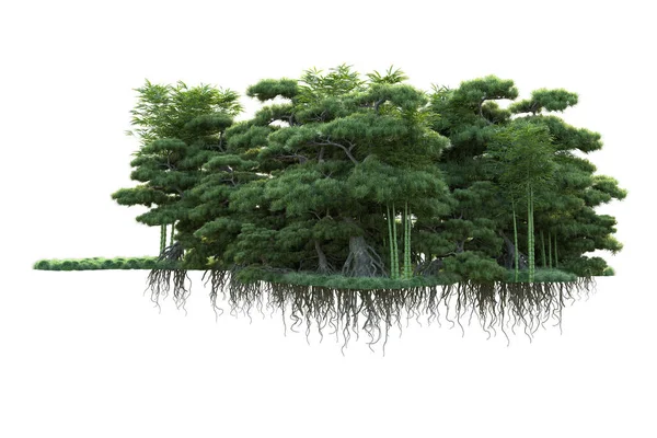 森は孤立してる バナーやポスターや写真操作に便利な画像 3Dレンダリング イラスト — ストック写真