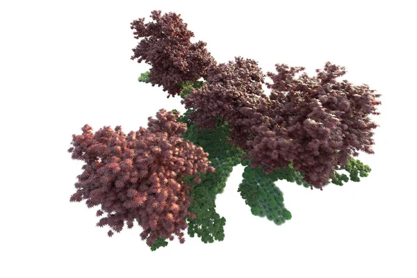 Orman ıssız. Görüntü pankartlar, posterler ya da fotoğraf manipülasyonları için kullanışlı. 3d görüntüleme - illüstrasyon