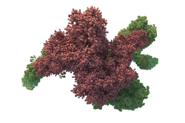 Orman ıssız. Görüntü pankartlar, posterler ya da fotoğraf manipülasyonları için kullanışlı. 3d görüntüleme - illüstrasyon