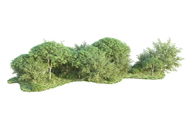 Orman ıssız. Görüntü pankartlar, posterler ya da fotoğraf manipülasyonları için kullanışlı. 3d görüntüleme - illüstrasyon