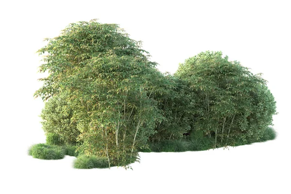 Orman ıssız. Görüntü pankartlar, posterler ya da fotoğraf manipülasyonları için kullanışlı. 3d görüntüleme - illüstrasyon