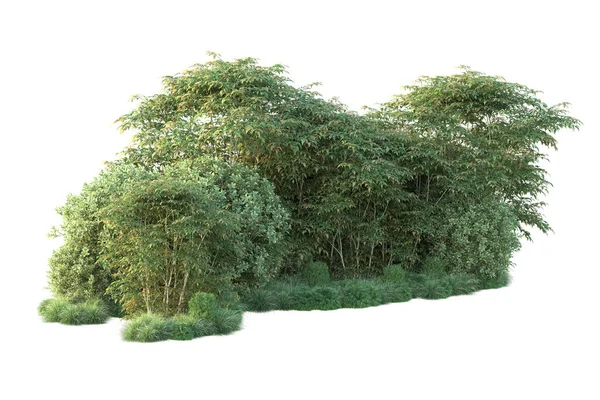 Orman ıssız. Görüntü pankartlar, posterler ya da fotoğraf manipülasyonları için kullanışlı. 3d görüntüleme - illüstrasyon