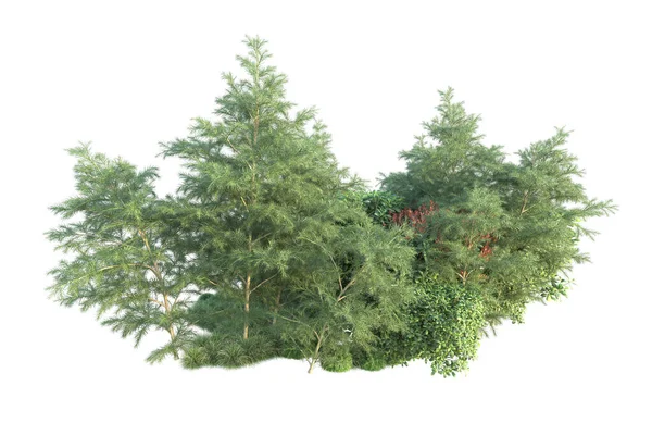 自然のフローラの概念 コピースペースのための白い背景で隔離された現実的な木 — ストック写真