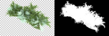Arka planda maskeyle izole edilmiş ağaçlar. 3d görüntüleme - illüstrasyon
