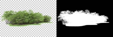 Arka planda maskeyle izole edilmiş ağaçlar. 3d görüntüleme - illüstrasyon