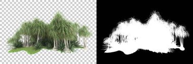Arka planda maskeyle izole edilmiş ağaçlar. 3d görüntüleme - illüstrasyon