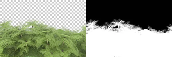 Trees Isolated Background Mask Rendering Illustration — Stock Photo, Image