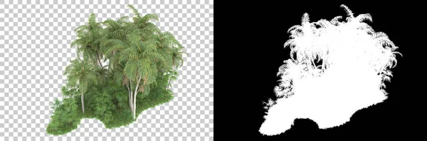 Alberi Isolati Sfondo Con Maschera Rendering Illustrazione — Foto Stock