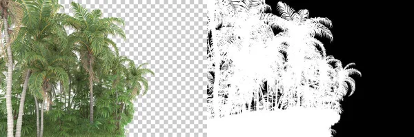 在背景上与面具隔离的树 3D渲染 — 图库照片