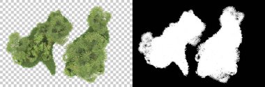 Arka planda maskeyle izole edilmiş ağaçlar. 3d görüntüleme - illüstrasyon