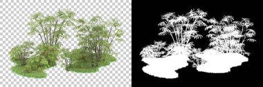 Arka planda maskeyle izole edilmiş ağaçlar. 3d görüntüleme - illüstrasyon