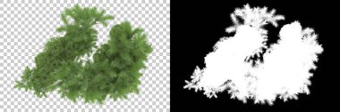 Arka planda maskeyle izole edilmiş ağaçlar. 3d görüntüleme - illüstrasyon