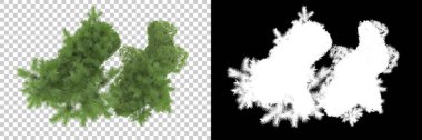 Arka planda maskeyle izole edilmiş ağaçlar. 3d görüntüleme - illüstrasyon