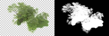 Arka planda maskeli tropik bir orman. 3d görüntüleme - illüstrasyon