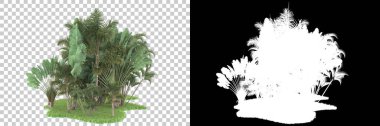Arka planda maskeli tropik bir orman. 3d görüntüleme - illüstrasyon