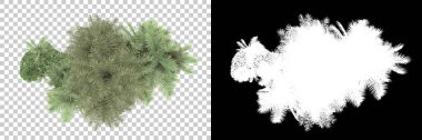 Arka planda maskeli tropik bir orman. 3d görüntüleme - illüstrasyon