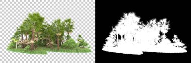 Arka planda maskeli tropik bir orman. 3d görüntüleme - illüstrasyon