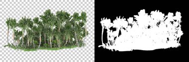 Arka planda maskeli tropik bir orman. 3d görüntüleme - illüstrasyon