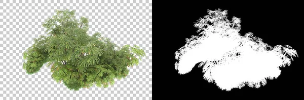 Drzewa Odizolowane Tle Maską Renderowanie Ilustracja — Zdjęcie stockowe