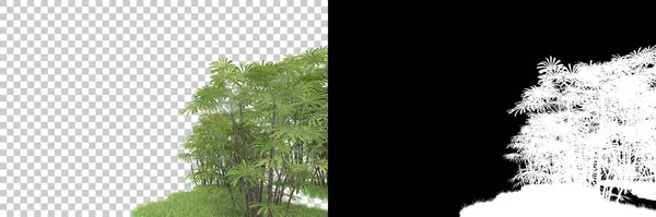 Tropenwald Hintergrund Mit Maske Darstellung Illustration — Stockfoto