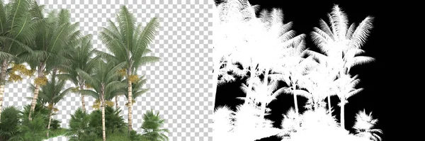 Тропический Лес Заднем Плане Маской Рендеринг Иллюстрация — стоковое фото