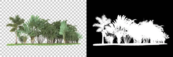 Trópusi Erdő Háttérben Maszkkal Renderelés Illusztráció — Stock Fotó