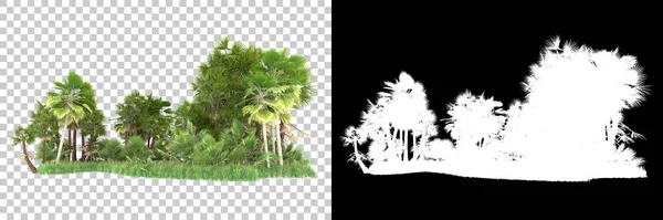 Floresta Tropical Fundo Com Máscara Renderização Ilustração — Fotografia de Stock