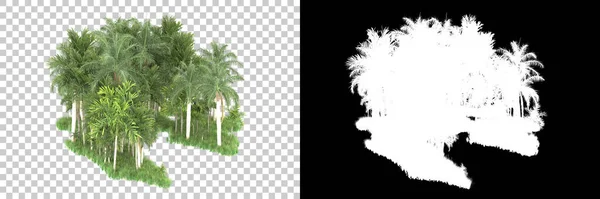 Концепція Природної Флори Реалістичні Дерева Ізольовані Білому Тлі Копіювання Простору — стокове фото