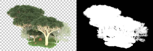 Concepto Flora Natural Árboles Realistas Aislados Sobre Fondo Blanco Para —  Fotos de Stock