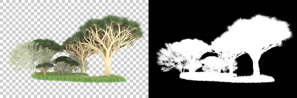 自然植物区系概念 现实树隔离在白色背景下复制空间 — 图库照片