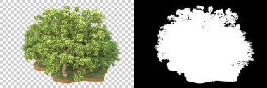 Arka planda maskeyle izole edilmiş ağaçlar. 3d görüntüleme - illüstrasyon